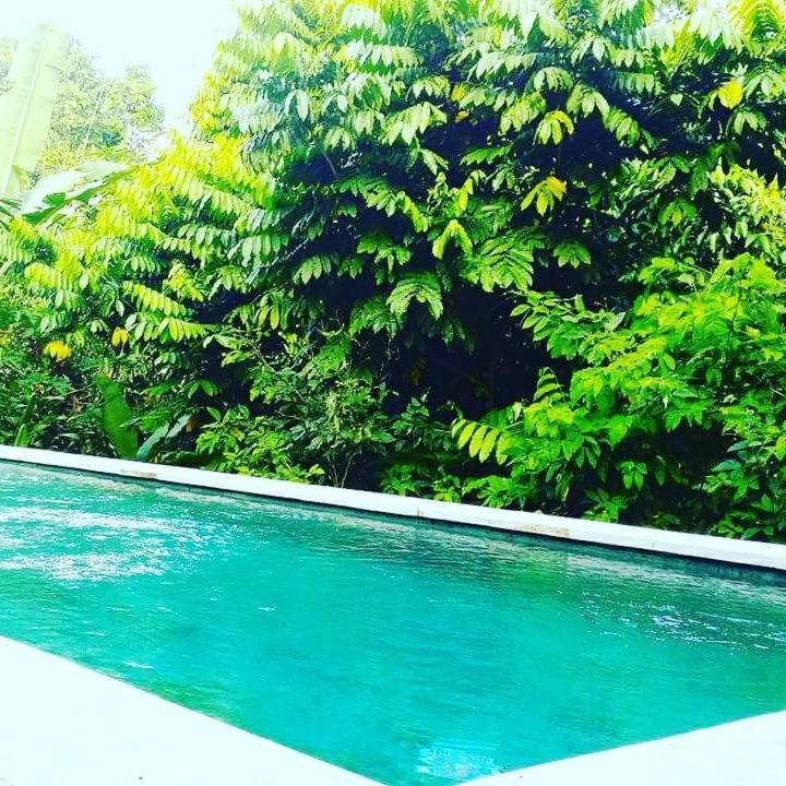 Bismajaya Bungalow Ubud Buitenkant foto