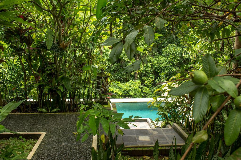 Bismajaya Bungalow Ubud Buitenkant foto