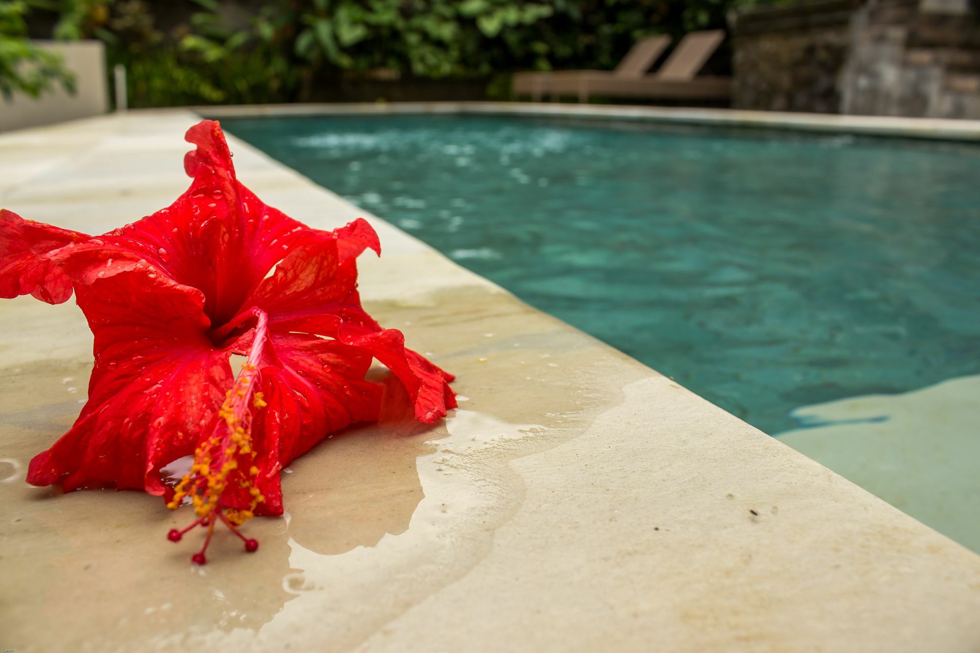 Bismajaya Bungalow Ubud Buitenkant foto